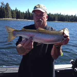 Meet your Posher, Dennis